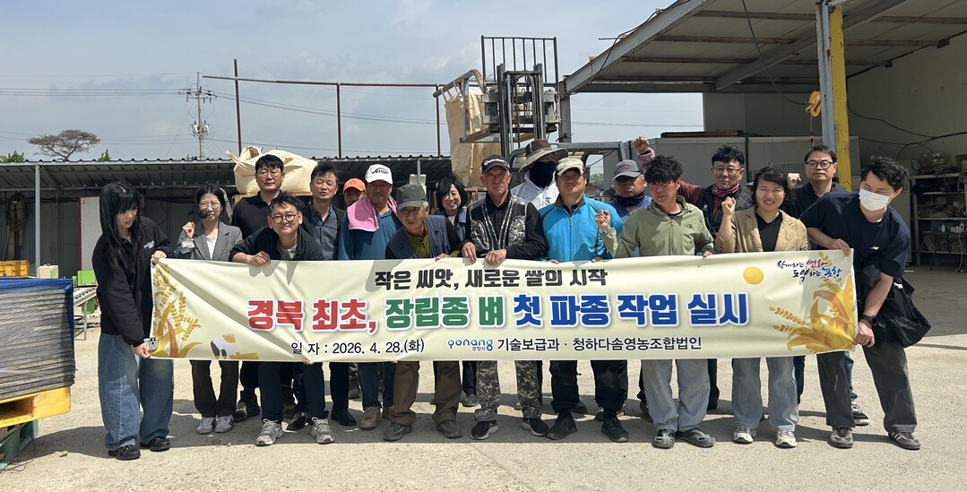 '장립종' 벼 시범재배...