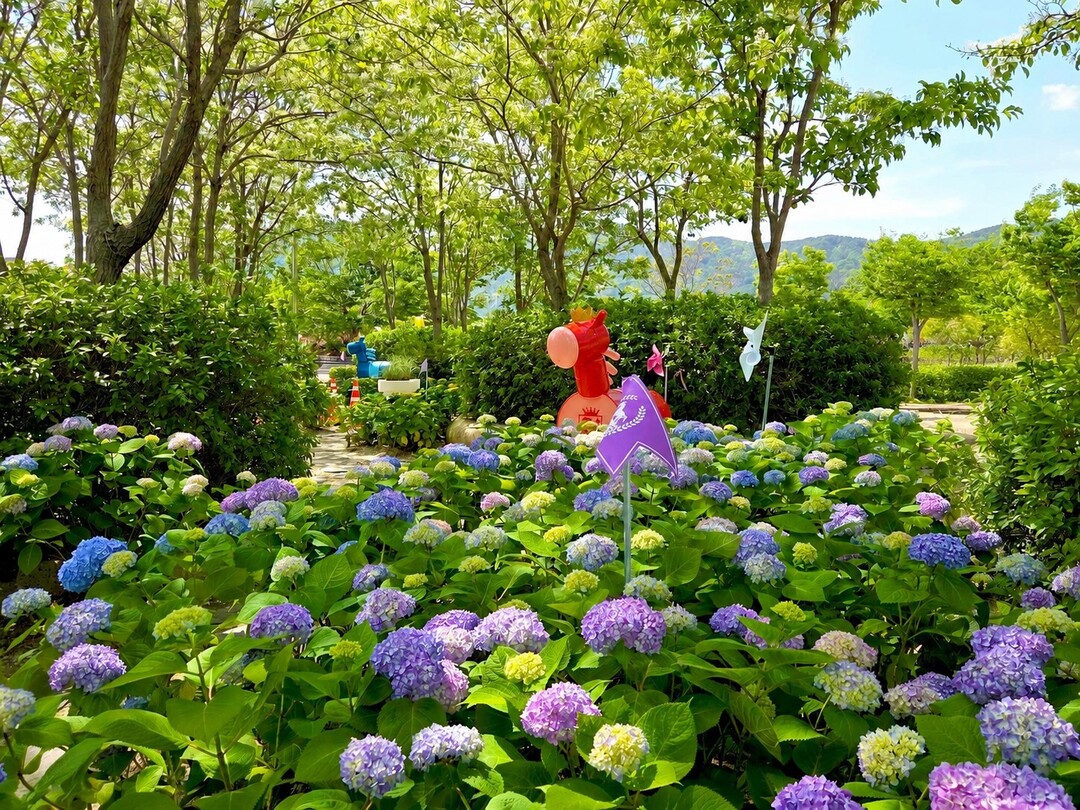 렛츠런파크 부경 '馬법정원