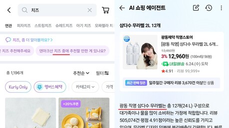 'AI 탑재' 내세우는 이커머스…실사용 성능은 '글쎄'