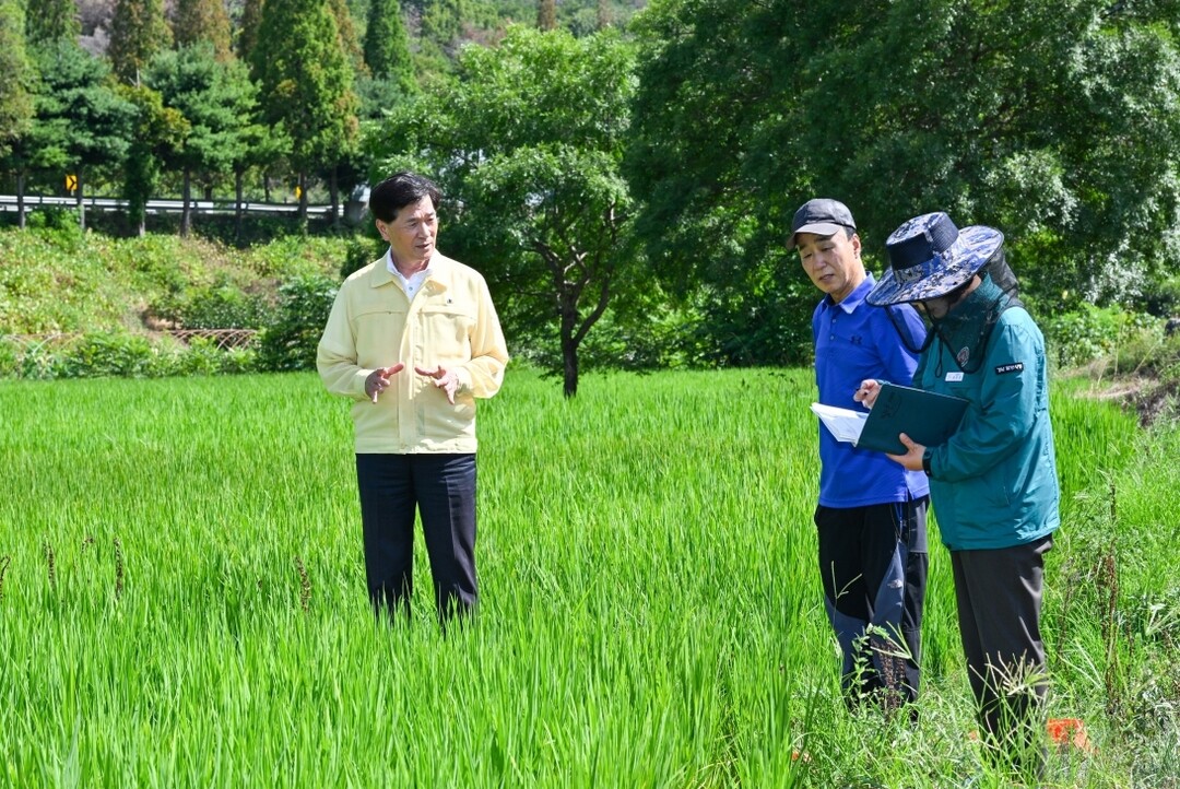 [밀양시 소식] 안병구 시장 가뭄 현...
