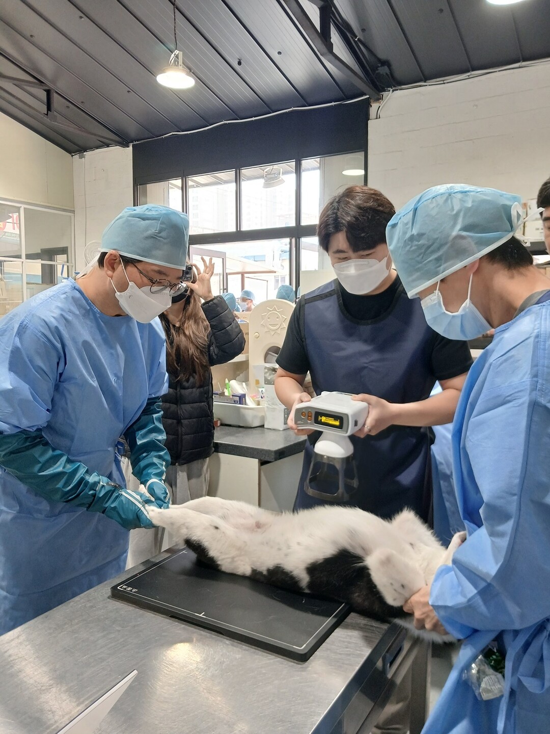 경기도, 하반기 보호동물 민간시설 6...