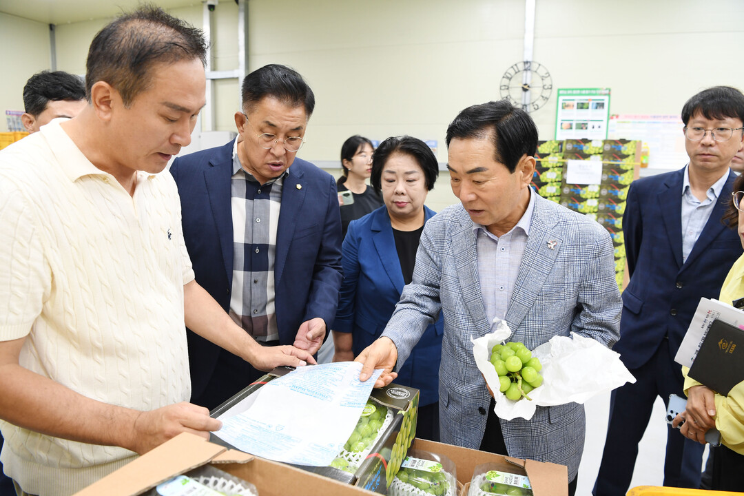 [창녕군 소식] 샤인머스켓 캐나다 수...