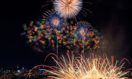 여의도 불꽃 축제 환호 뒤 밤섬의 눈물