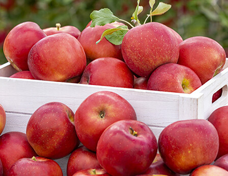 thumbimg